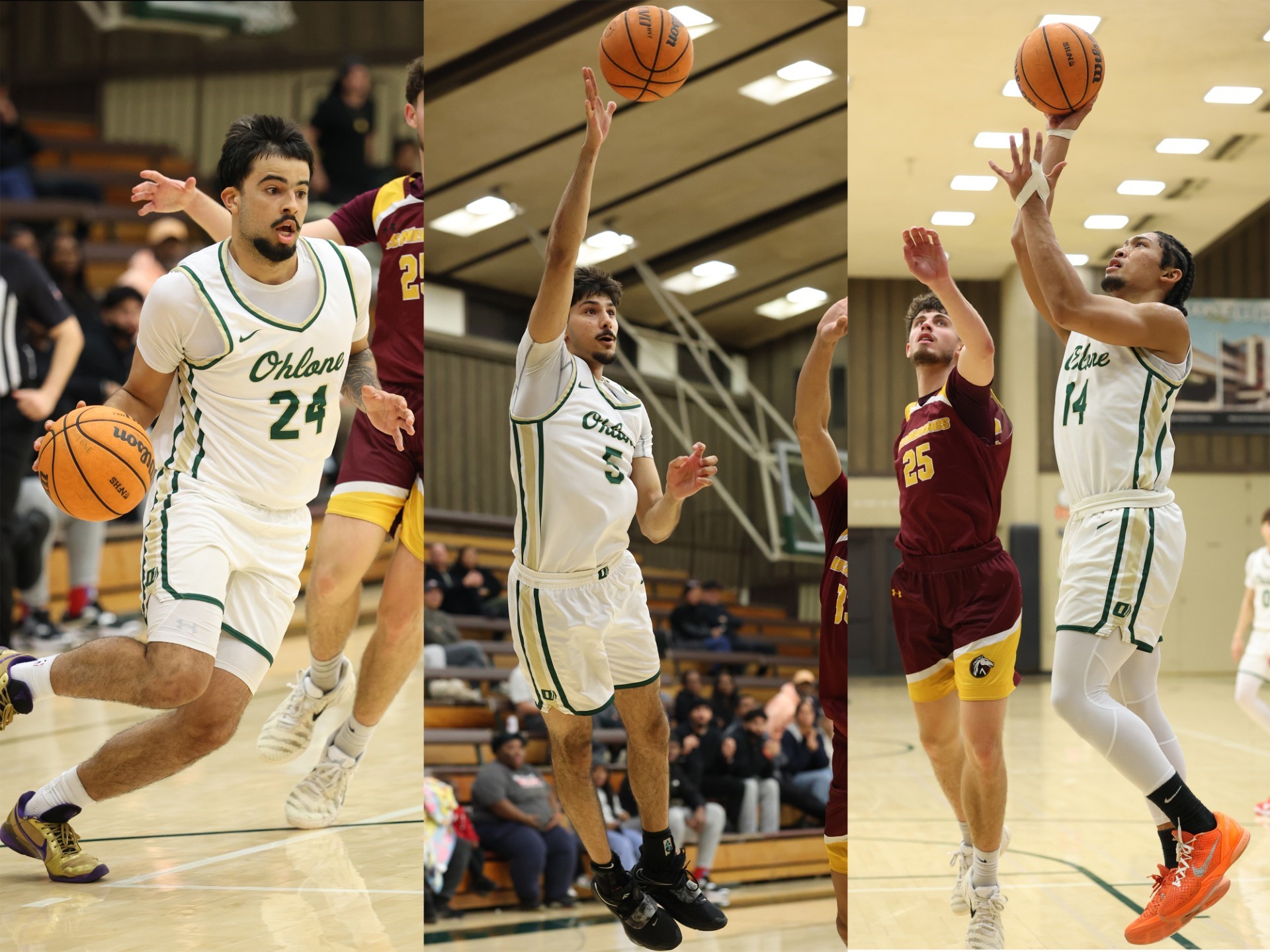 Ohlone College Men's Basketball Finishes Year Winning at CSM Winter Classic